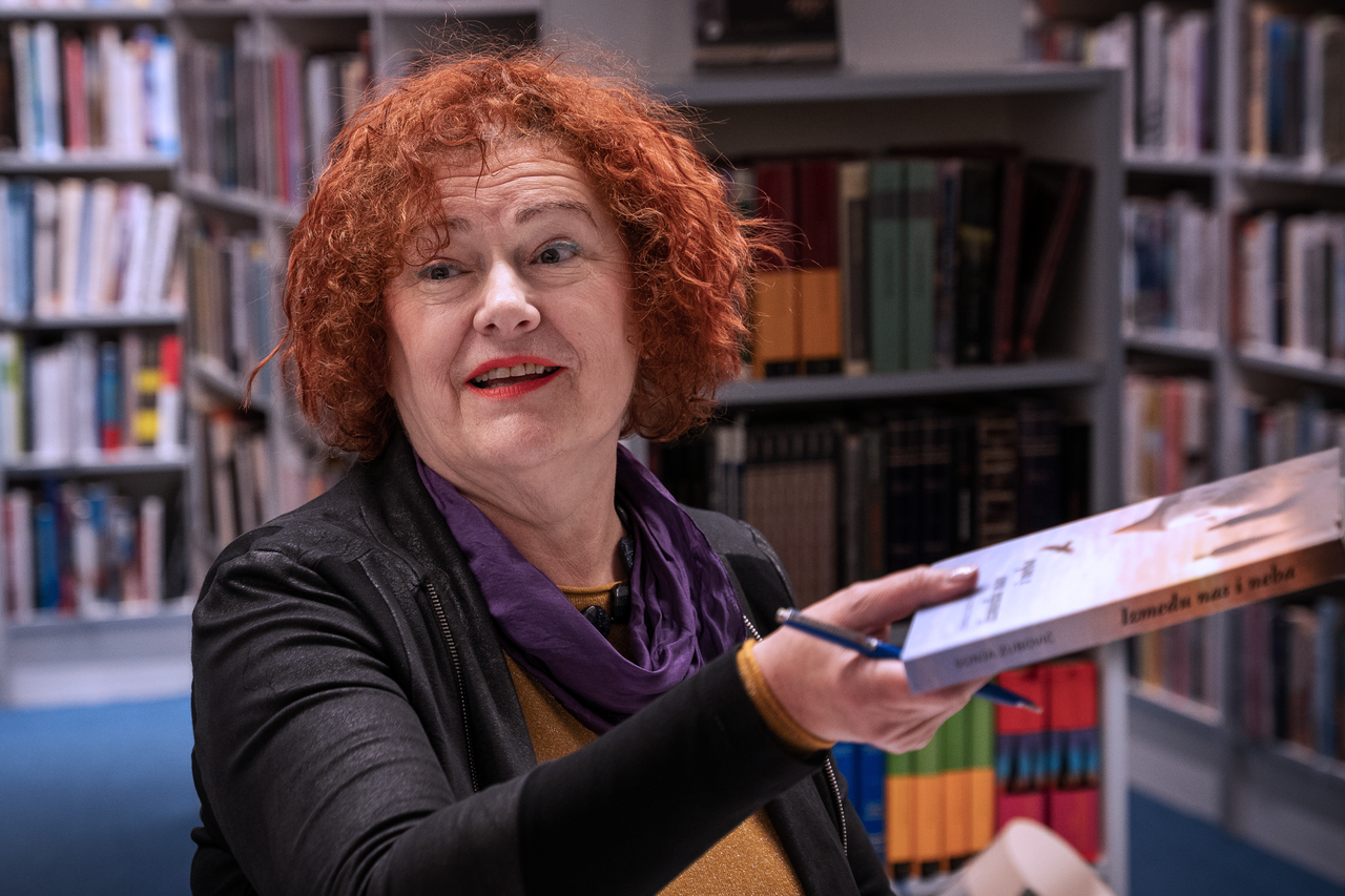 Predstavljanje romana Sonje Zubović