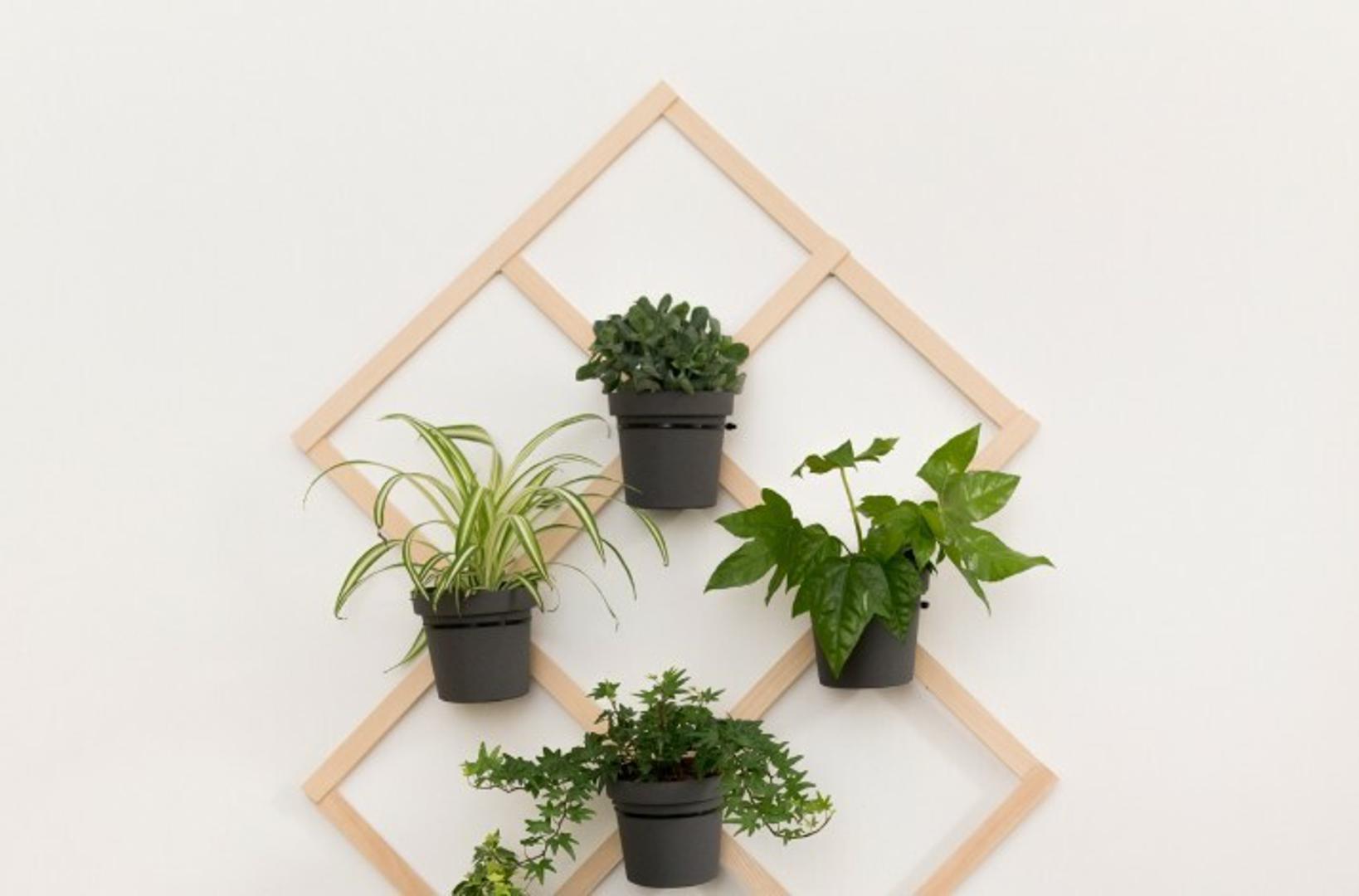 Naučite kako izraditi vertikalni vrt uz zeleni kolektiv Mirjane Mikulec