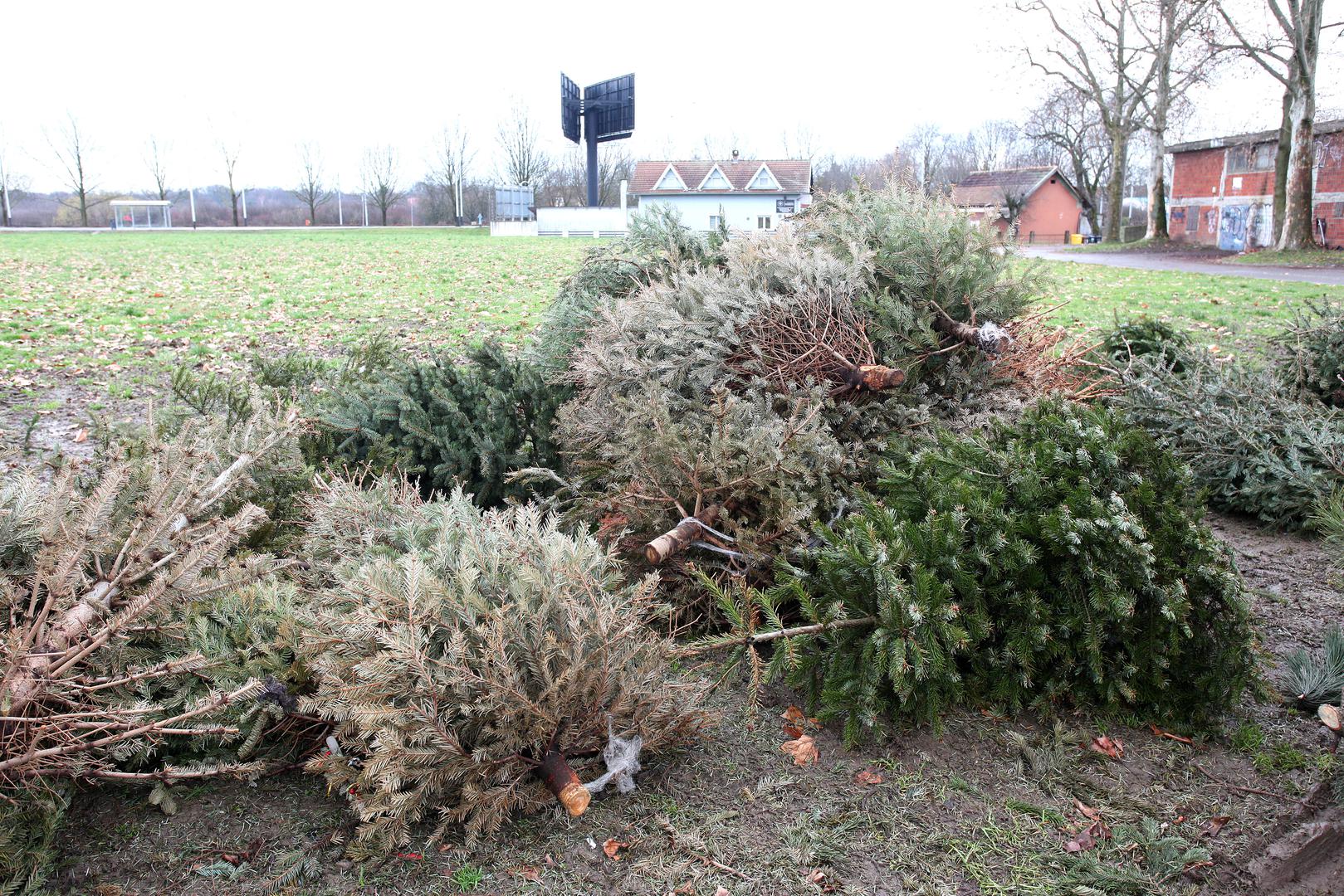 Kako se može vidjeti na fotografijama koja je snimio Pixsellov fotoreporter, neka od njih u međuvremenu su se posve osušila. 