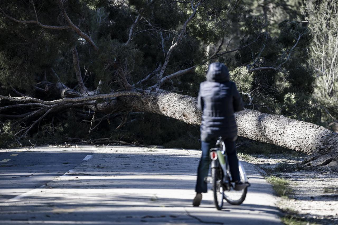 Split: Olujna bura nije zaobišla ni Marjan