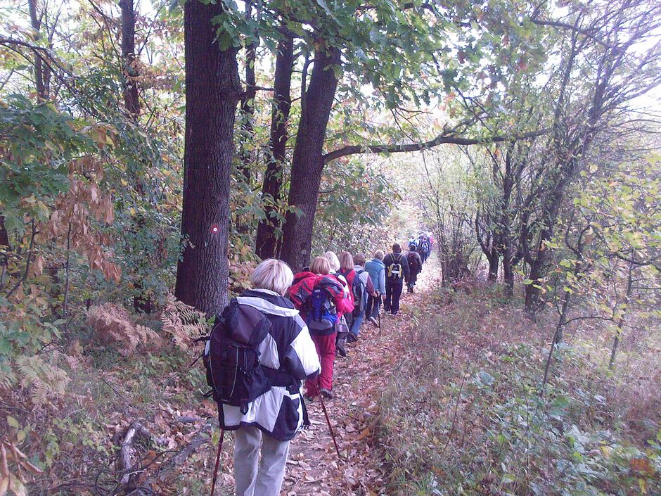 Festival kestena u Petrinji