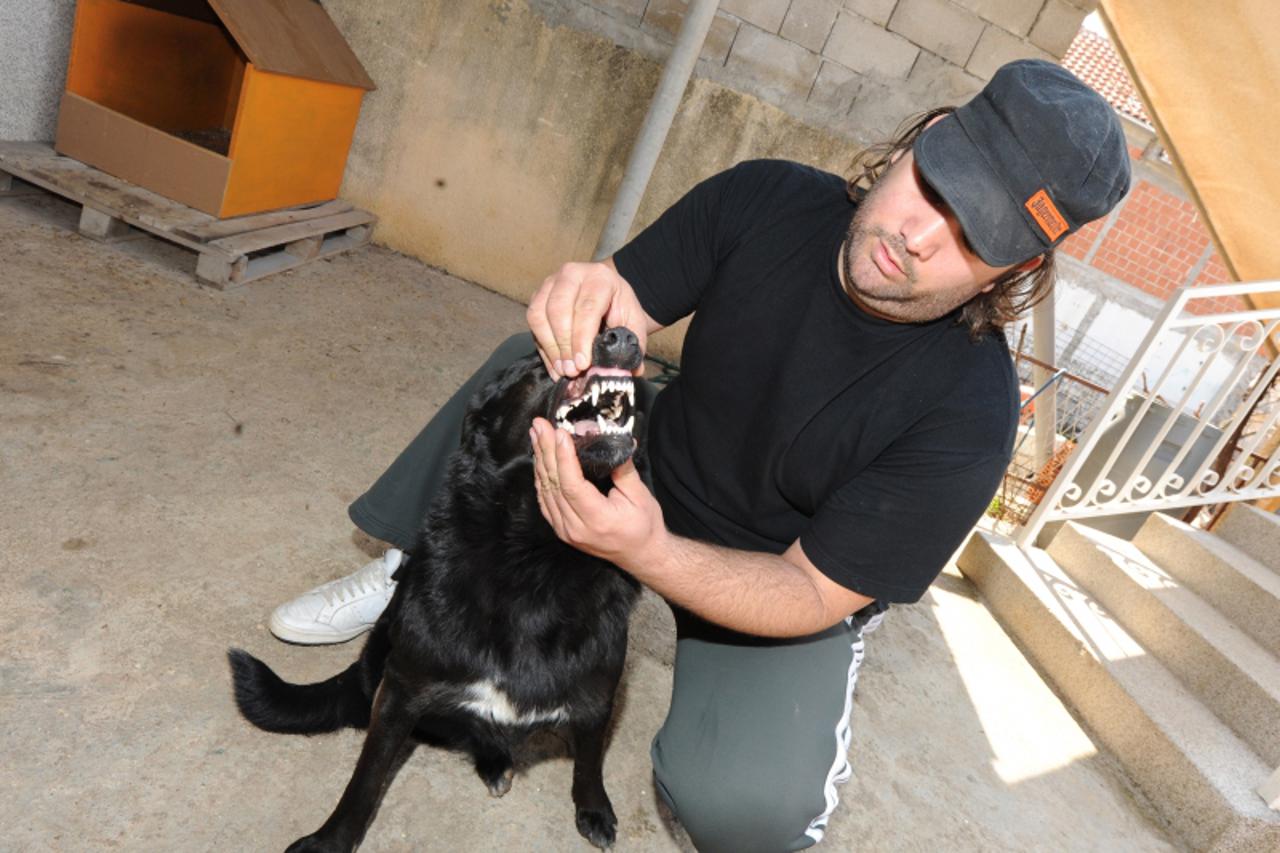 '17.03.2010., Prokljan - Dobrivoja Damjanic ljubitelj pasa iz Prokljana posjeduje mjesanca psa i vuka, Dobrivoj s psom koji se zove Nera.  Photo: Hrvoje Jelavic/PIXSELL'