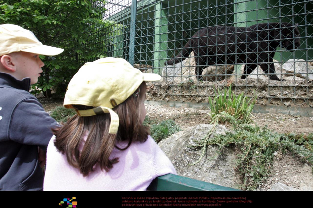 zoološki vrt (1)