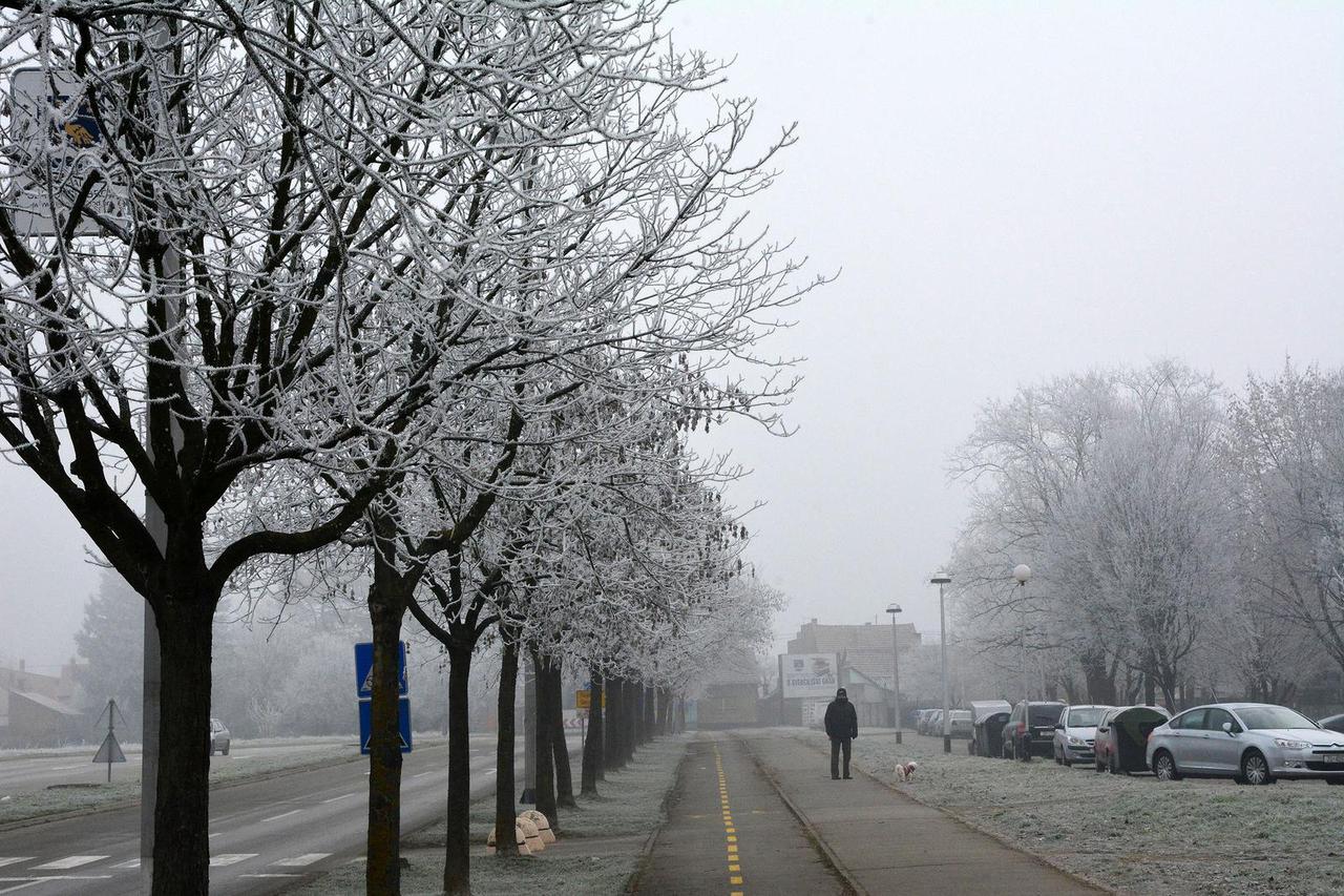 Jutarnji mraz ukrasio krošnje drve?a i grmove