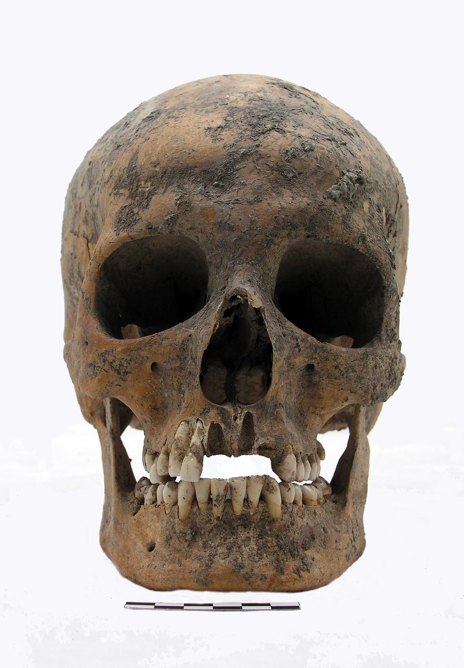 DNK analiza Vučedolaca