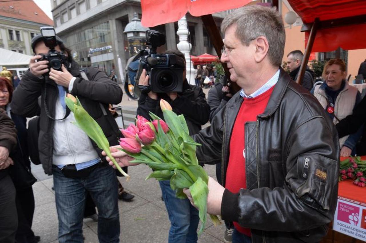 SDP, zaklada ana rukavina