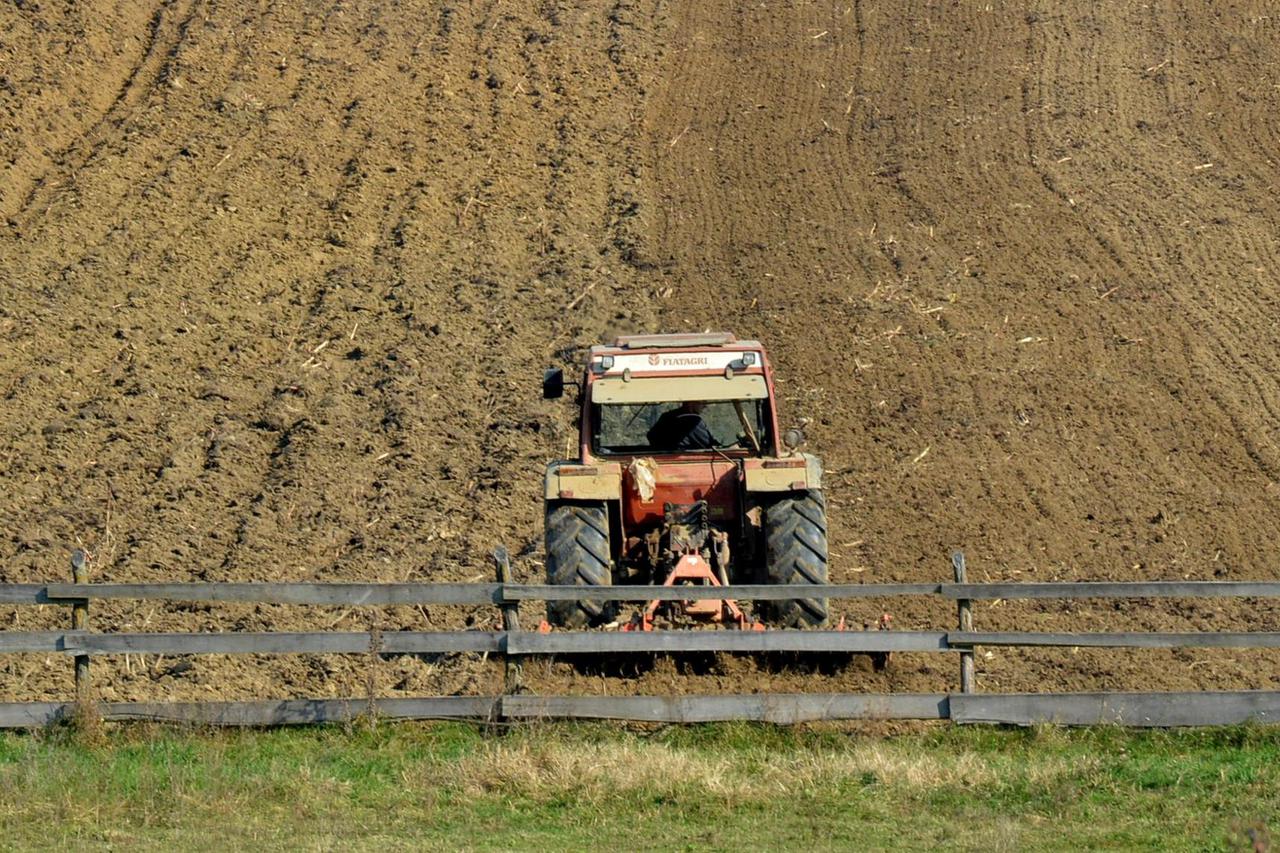 oranje polje traktor zemljište