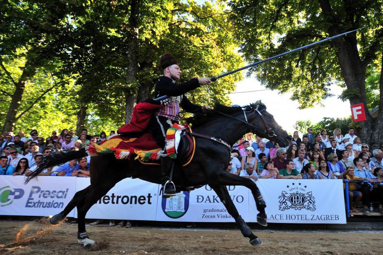 Mario Šušnjara (1)