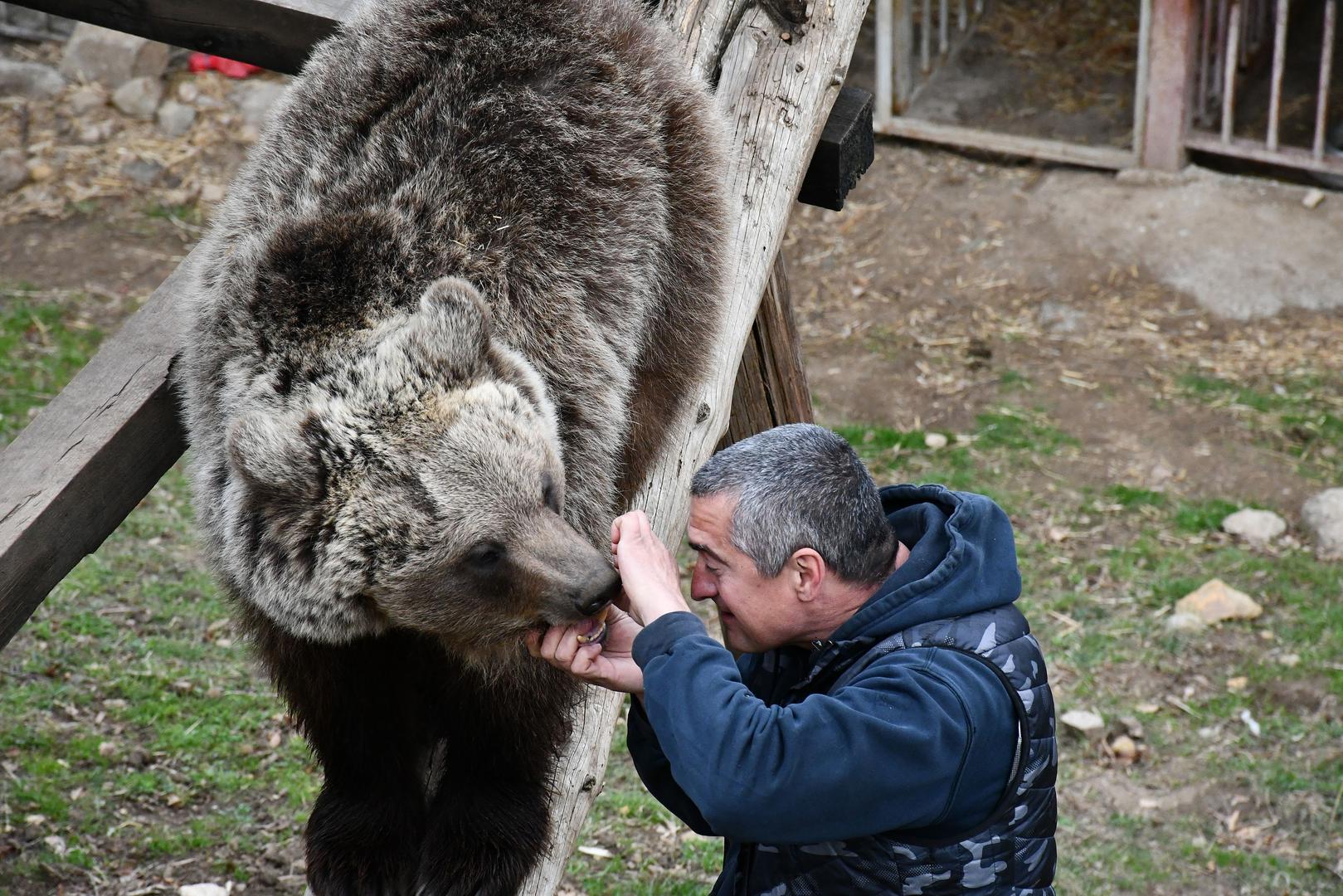 Ove dvije medvjedice, koje je nazvao Maša (5) i Ljubica (4), postale su njegovi pitomi kućni ljubimci.