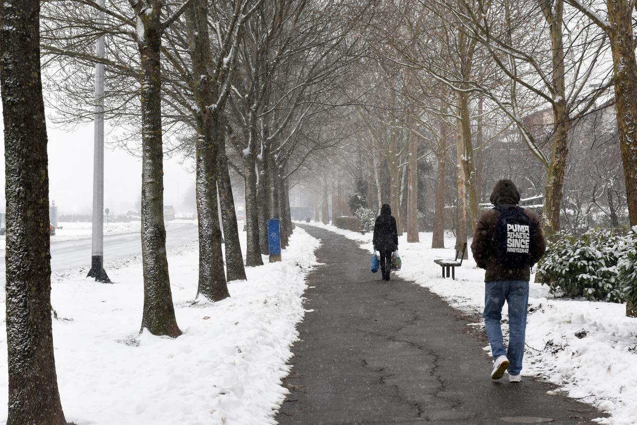 09.02.2015., Zagreb - Setnica u Ulici Klin koja je na vise mjesta ostecena korjenima platana.  Photo: Davor Visnjic/PIXSELL