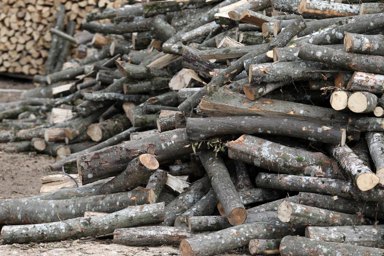 Šibenik:  Priprema drva za ogrjev