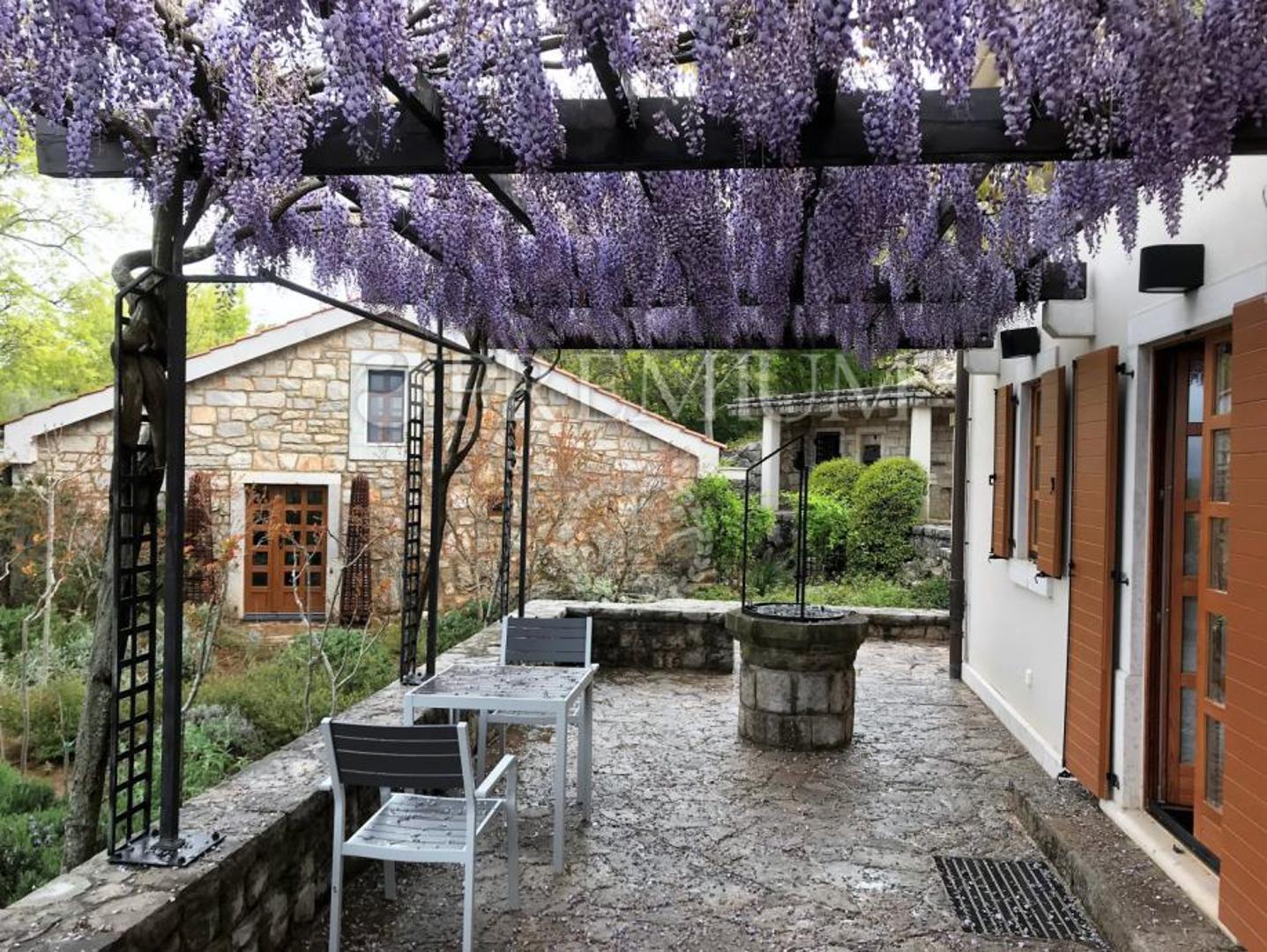 Prizemlje zauzima 367 m², a uključuje kuhinju i blagovaonicu (65 m²), dnevni boravak s kaminom (29 m²), prostoriju za opuštanje (31 m²), radnu sobu, vešeraj, sušionicu, kupaonicu, dodatni WC, još jednu kupaonicu te natkrivene terase s vanjskim roštiljem.