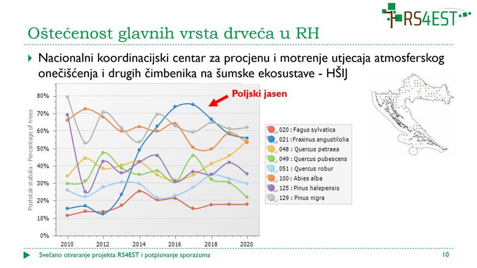 Satelitskim podacima do zaštite šuma poljskog jasena od izumiranja