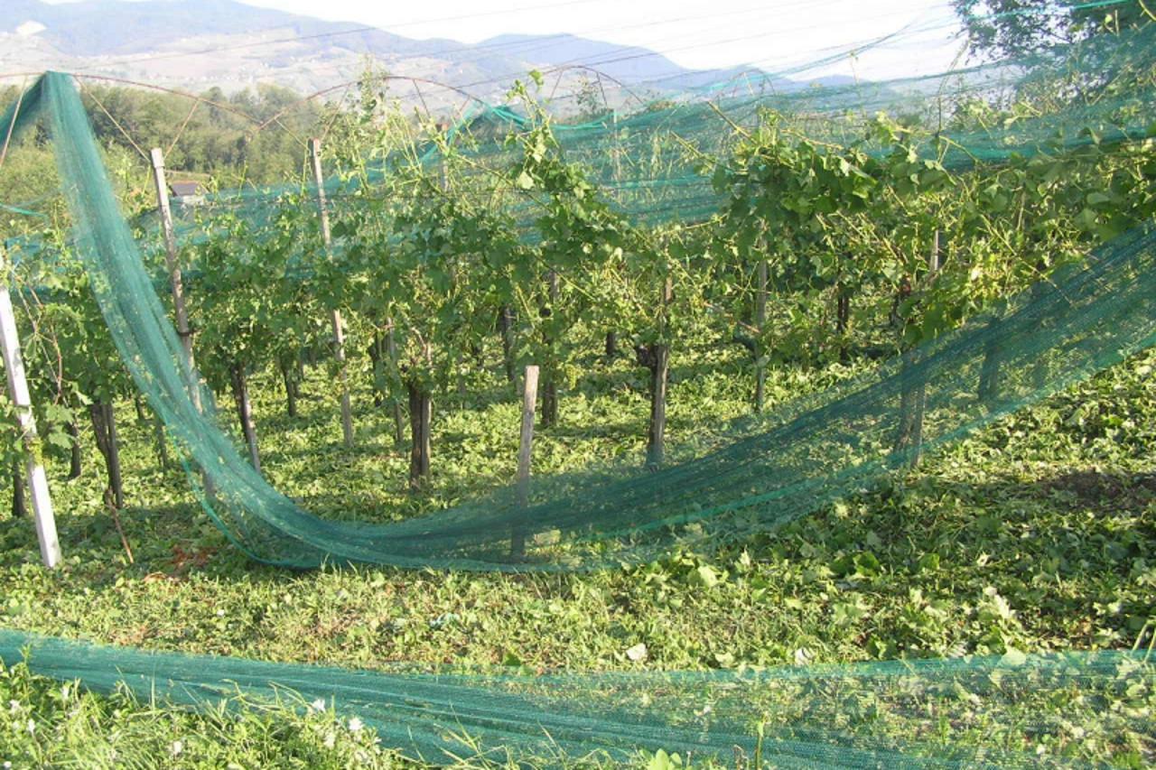 'OLYMPUS DIGITAL CAMERA         '