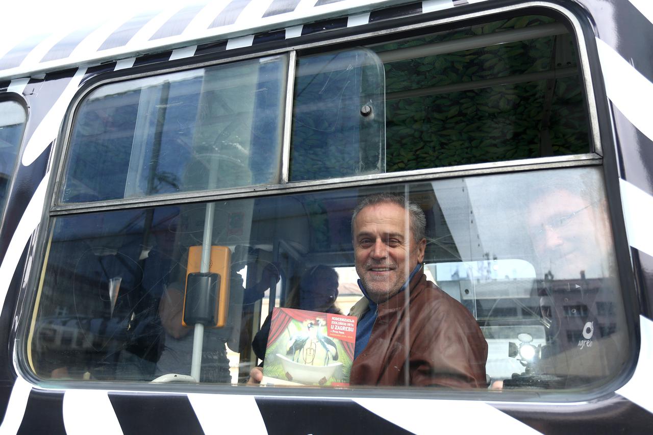 16.10.2016., Zagreb - Gradonacelnik Milan Bandic posebnim tramvajem odvezao se sa Kvaternikovog trga na otvorenje obnovljenog ZOO-a. Photo: Anto Magzan/PIXSELL