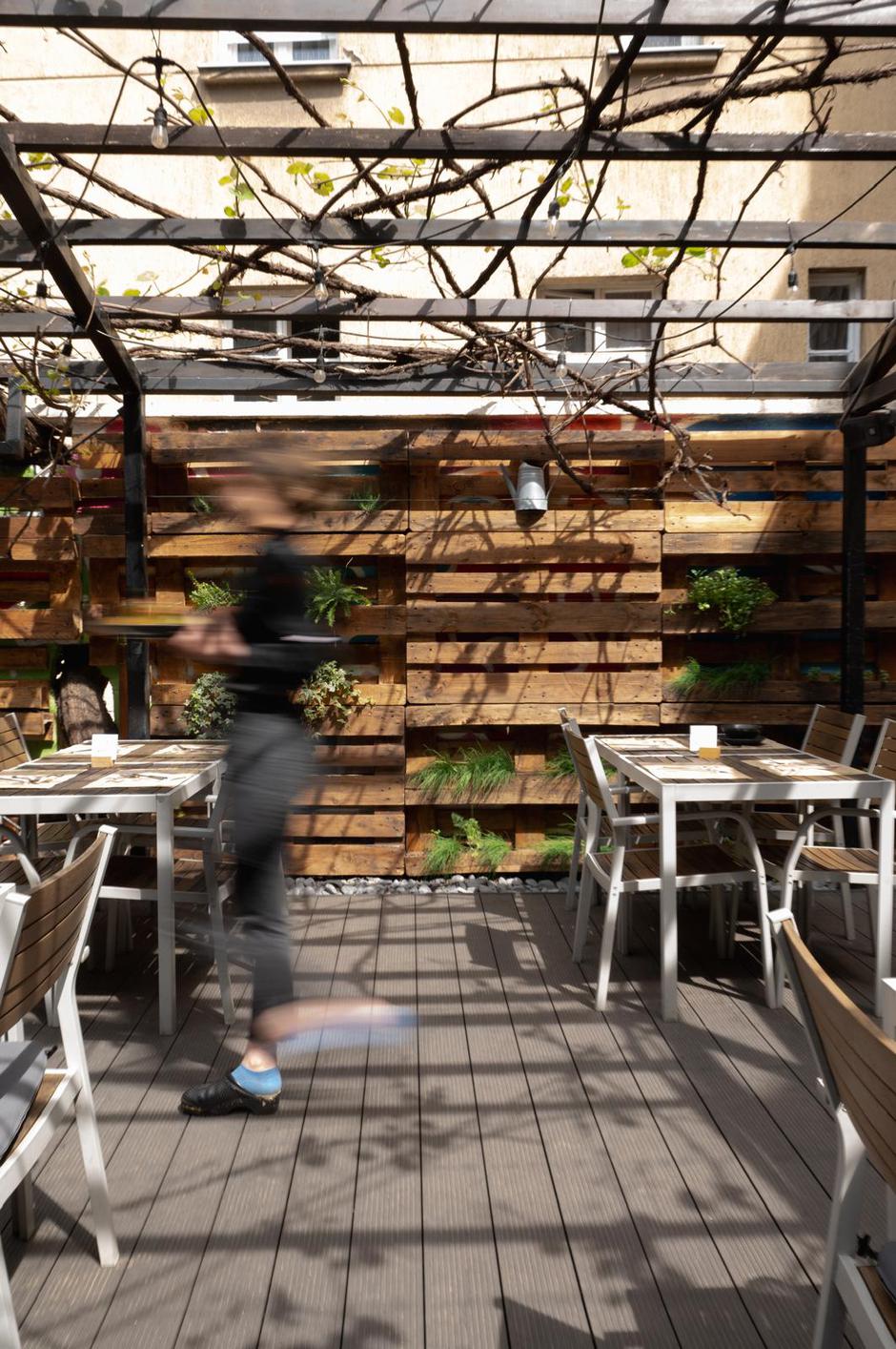 Zrno glazbeni brunch