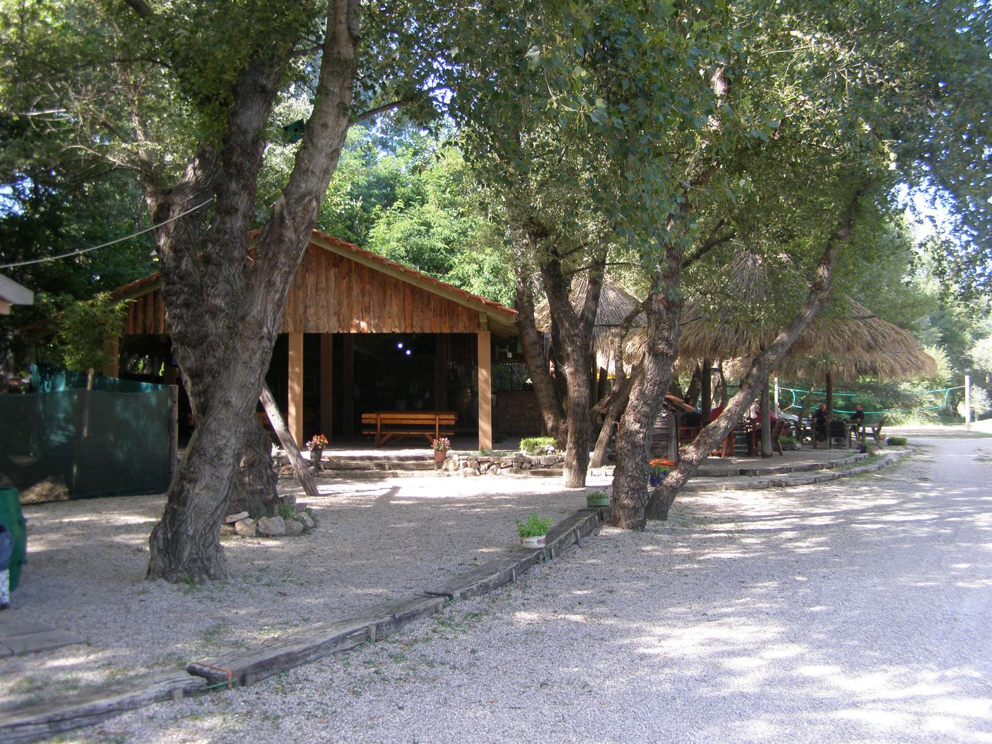 Ovakvih je žaba dovoljno šest po osobi, pola duzine, s malo priloga. To je delicija, nije da se najedeš, kaže Ostojić