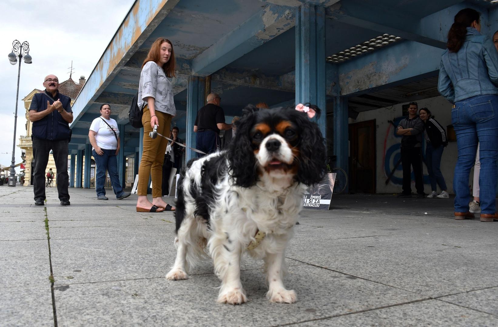20.06.2020. Slavonski Brod - Prosvjedni skup ljubitelja zivotinja Ulica bez lutalica. Photo: Ivica Galovic/ PIXSELL