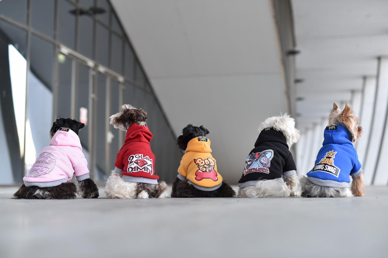  DAWG SWAG