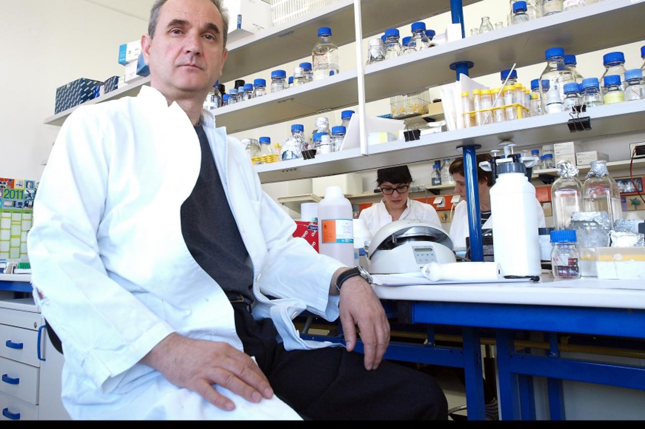 dr. sc. Ivica Rubelj