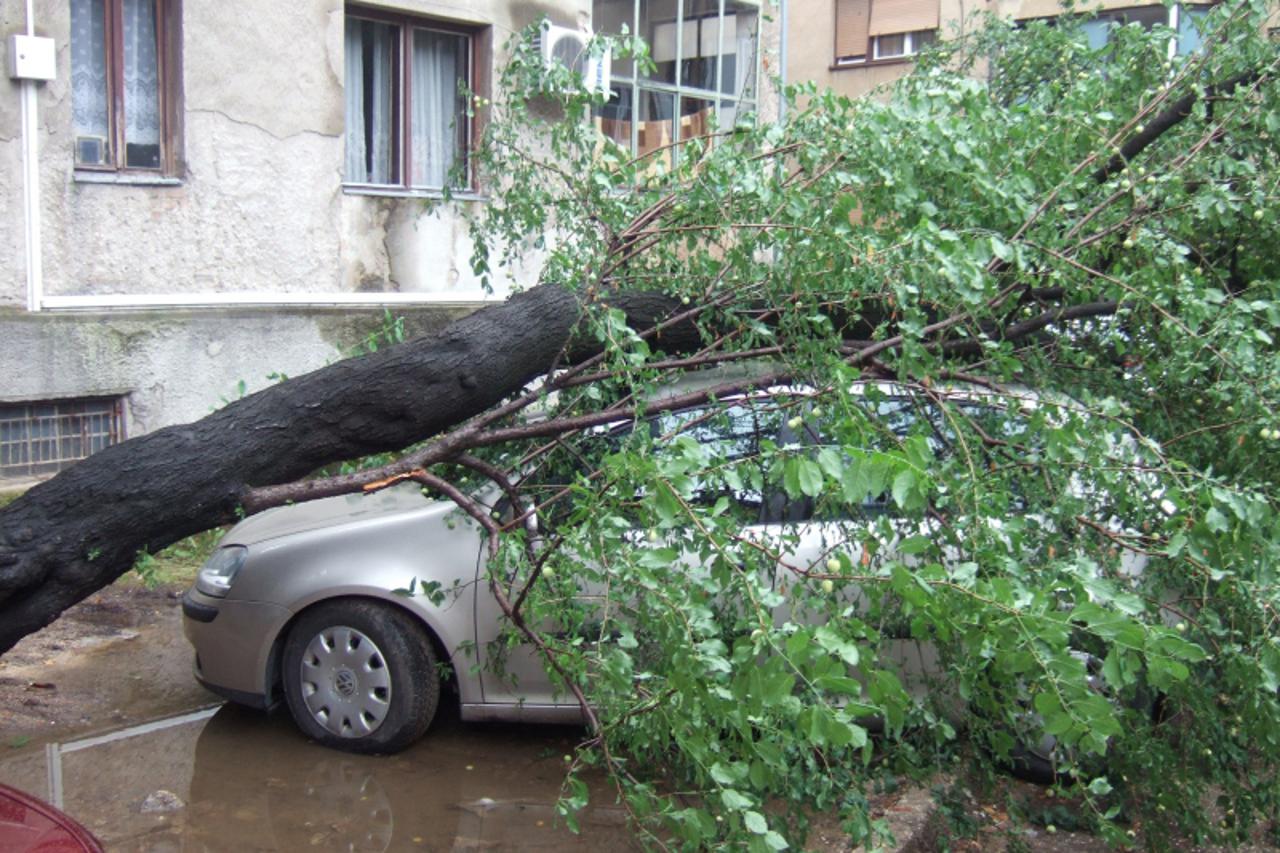 \'stablo_nnn_bih_220610\'