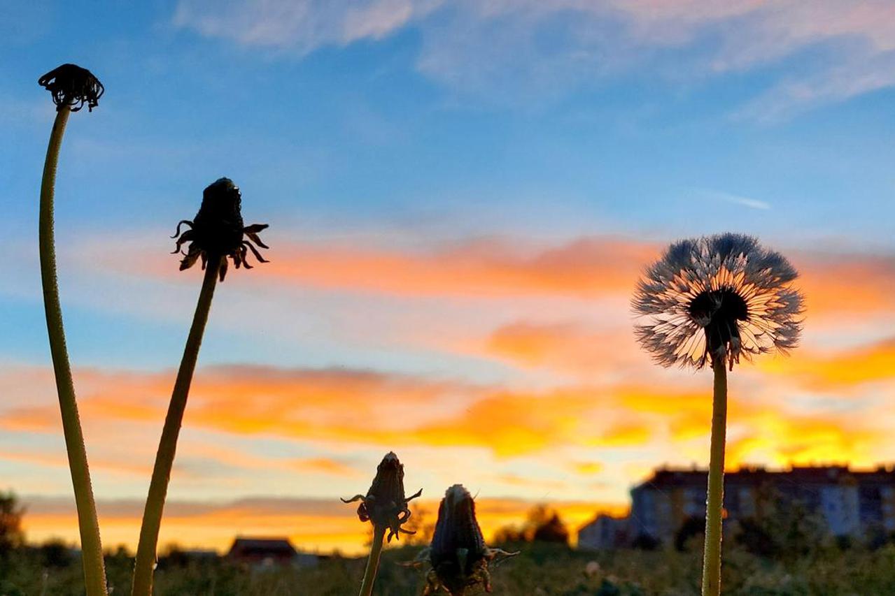 Zagreb: Spektakulrano jesensko svitanje na istoku grada