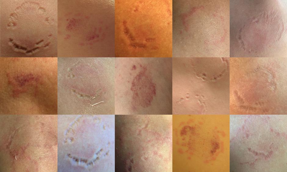 Izložba Zane Cerpina