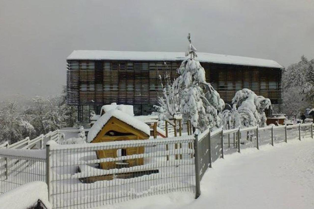 Celjska koča