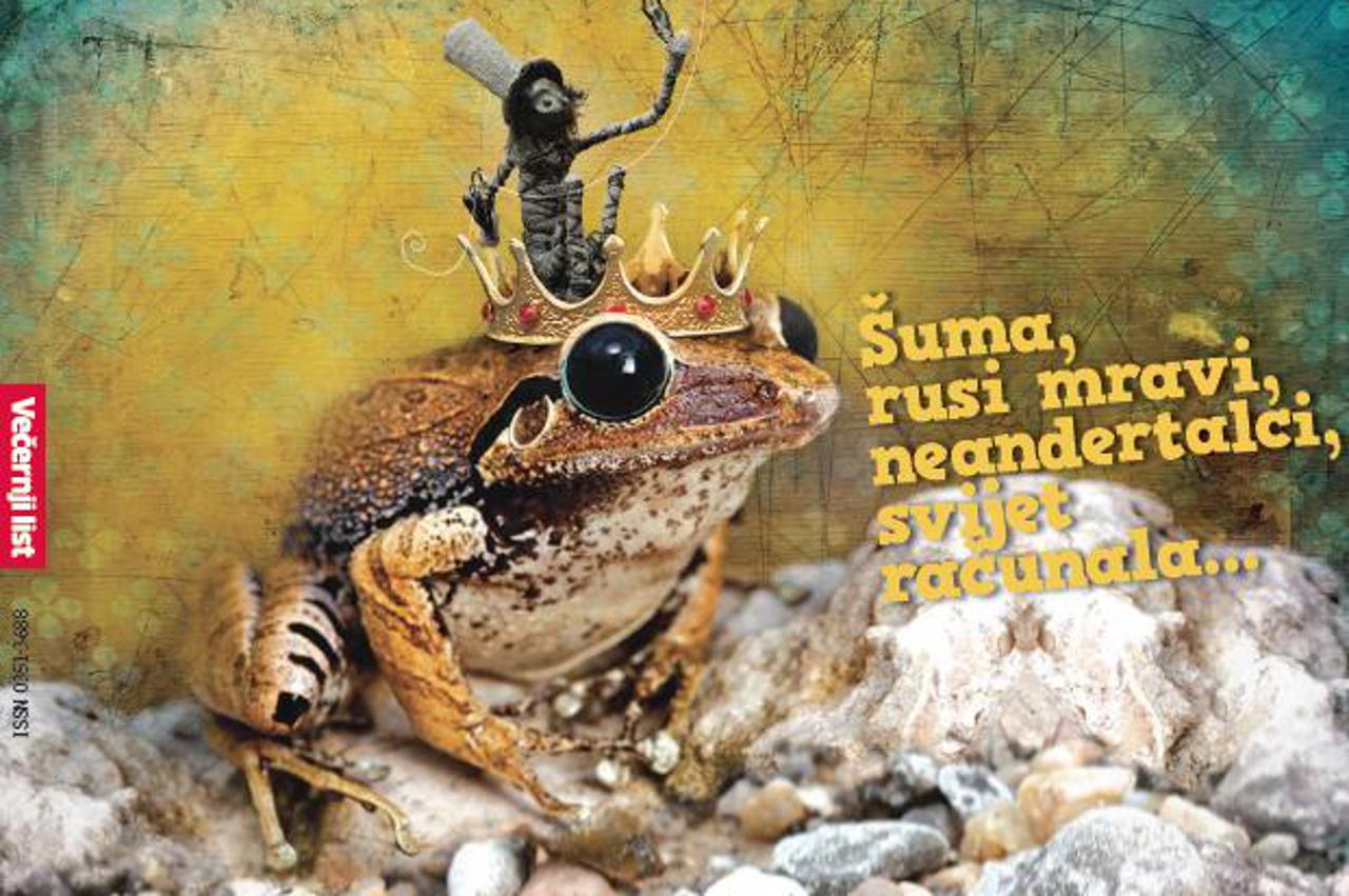 radost