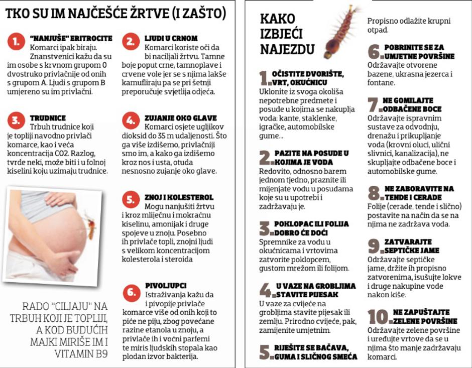 Komarci