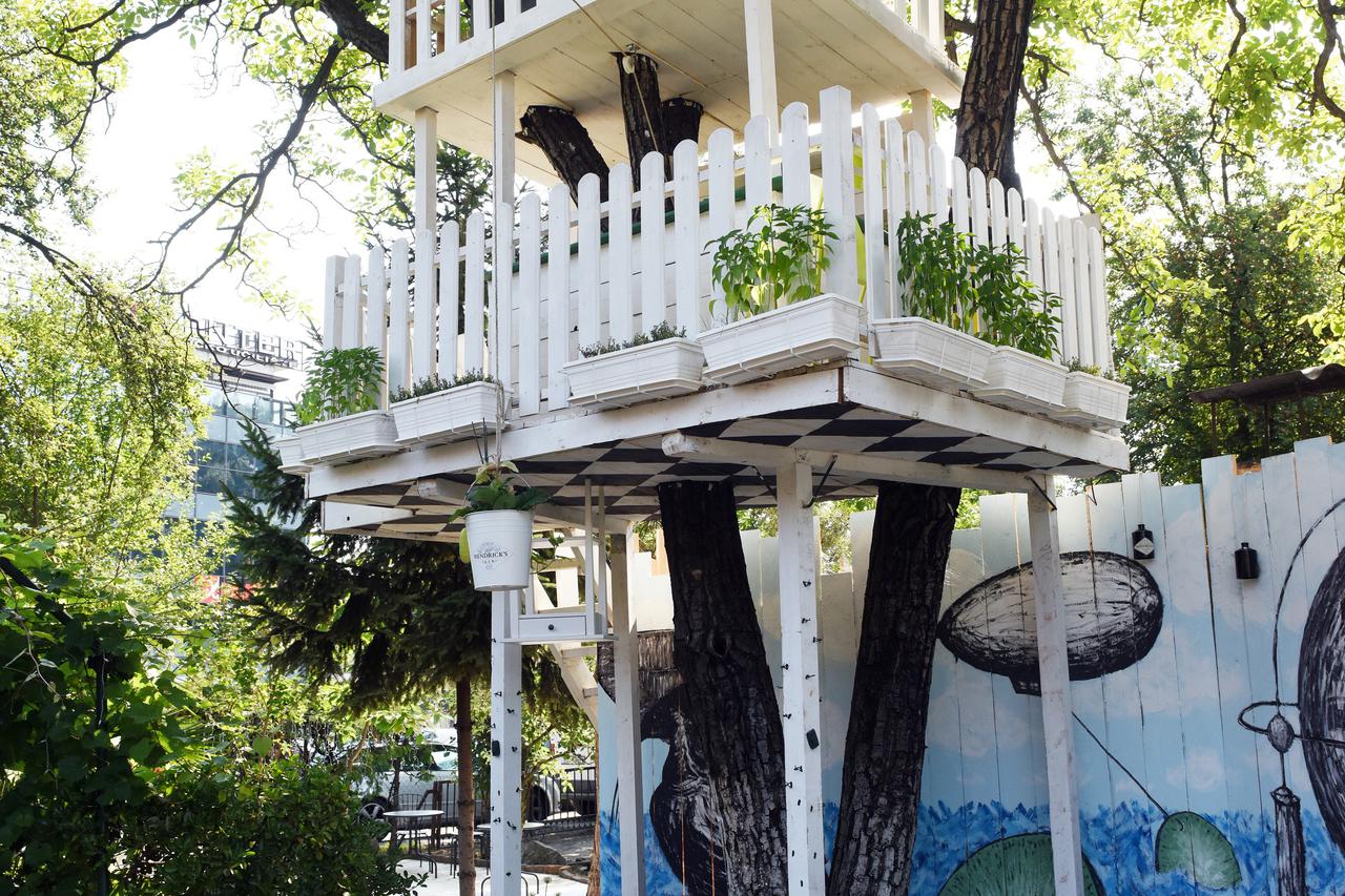 22.07.2015., Zagreb - Na samom kraju Savske ceste u Zagrebu, na adresi Horvacanska 3, otvorio se najneobicniji lokal u Zagrebu 'A most unusual gardenâ?? gdje gosti mogu popiti kavu i u kucici na drvetu.  Photo: Davor Visnjic/PIXSELL
