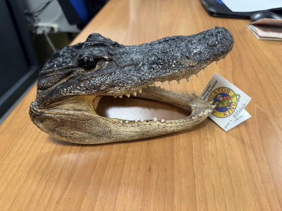 krokodil