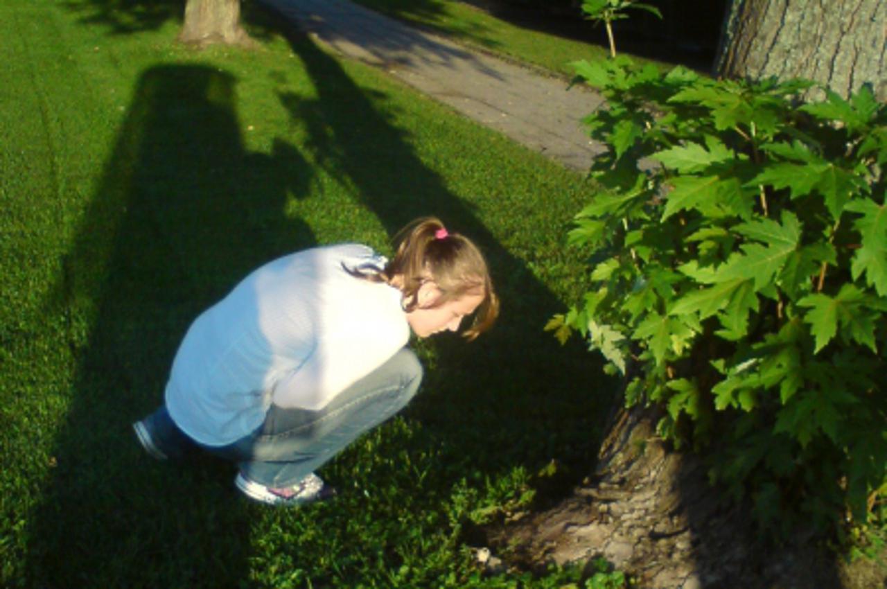 \'otrovan03_izv_var_300910\'