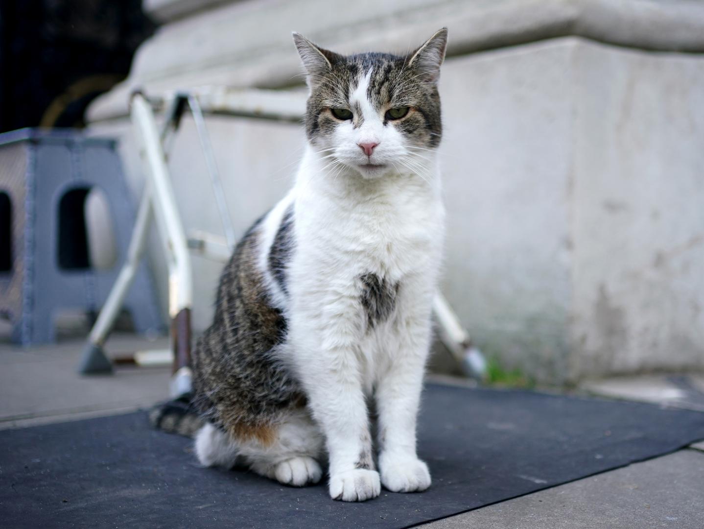 "Kakav god bio rezultat izbora, bit ću ovdje da nadgledam stvari", glasi druga objava.
