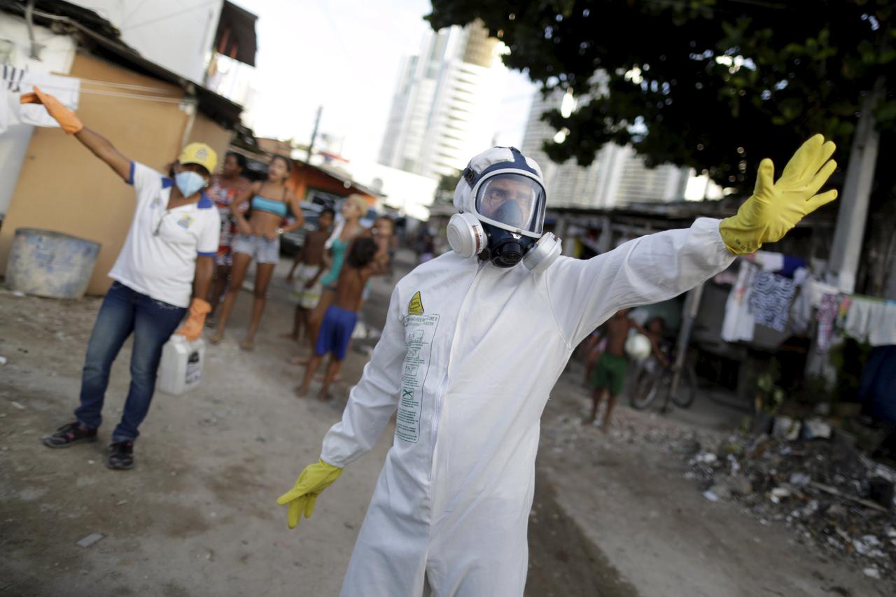 zika virus, brazil