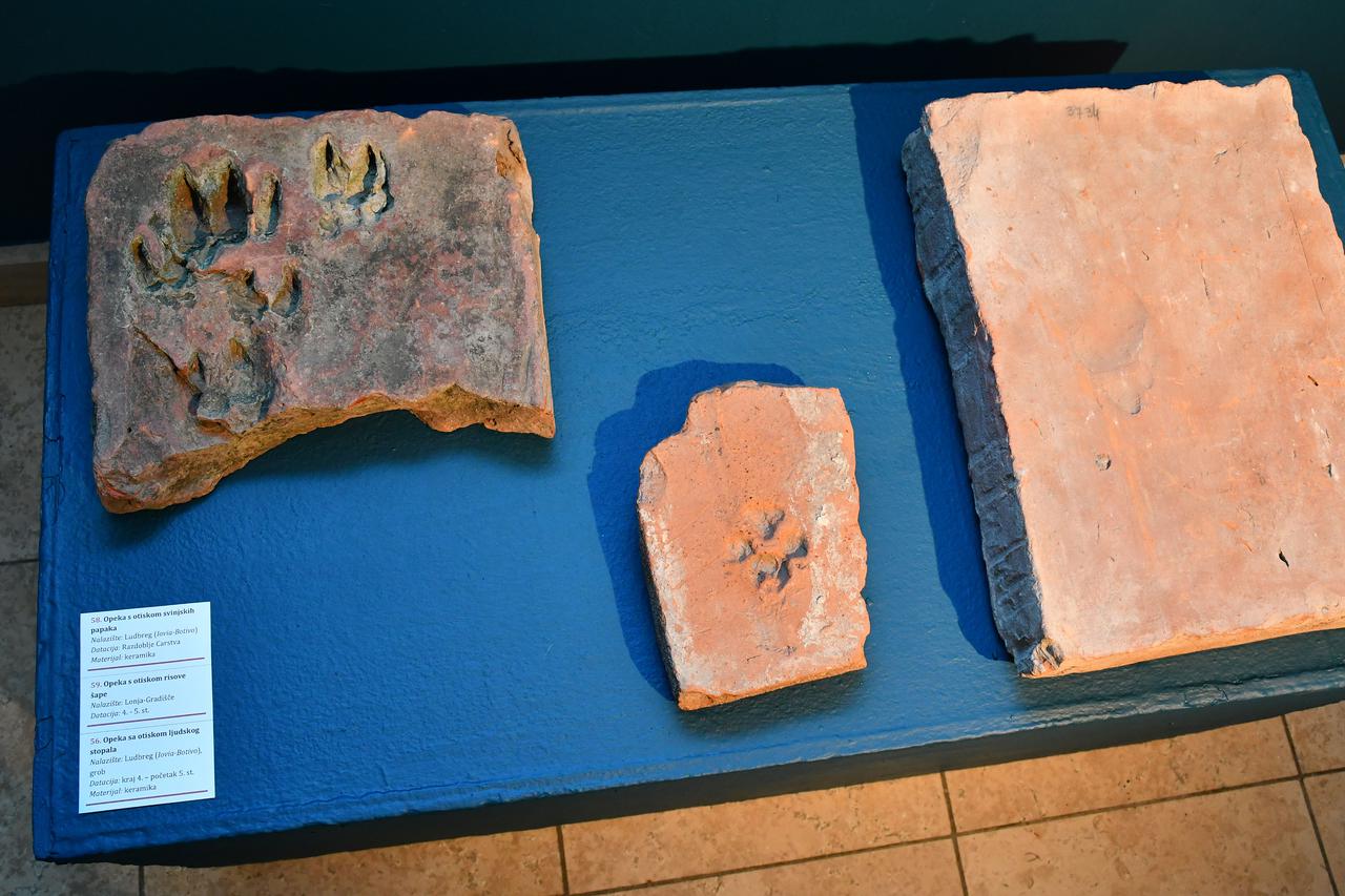 Slavonski Brod: Otvorenje izložbe "Horizonti rimske Panonije" u Muzeju brodskog Posavlja