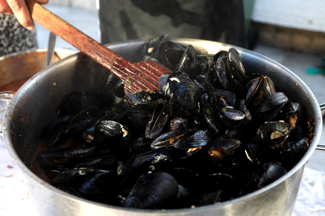 Šibenik: Manifestacija 'Pidoča i debit se vole' na Trgu Pavla Šubića