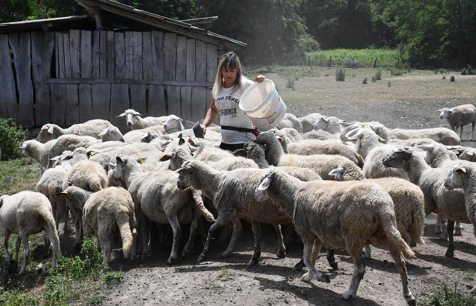 Nova Ljeskovica: OPG Viktorija Terzić 