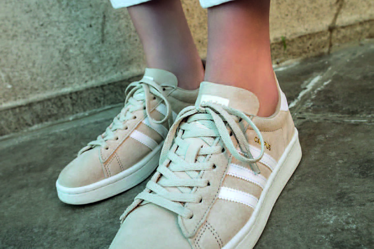 Adidas campus tenisice