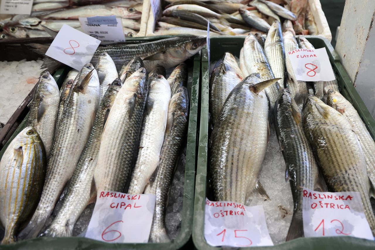 Šibenik: Bogata ponuda u šibenskoj ribarnici