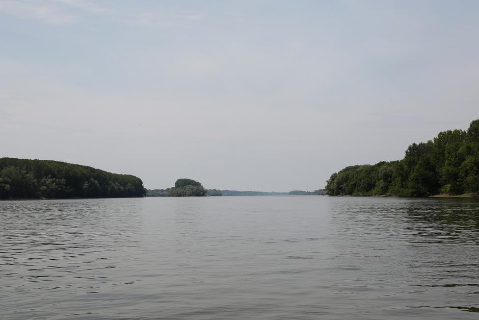 Dunav