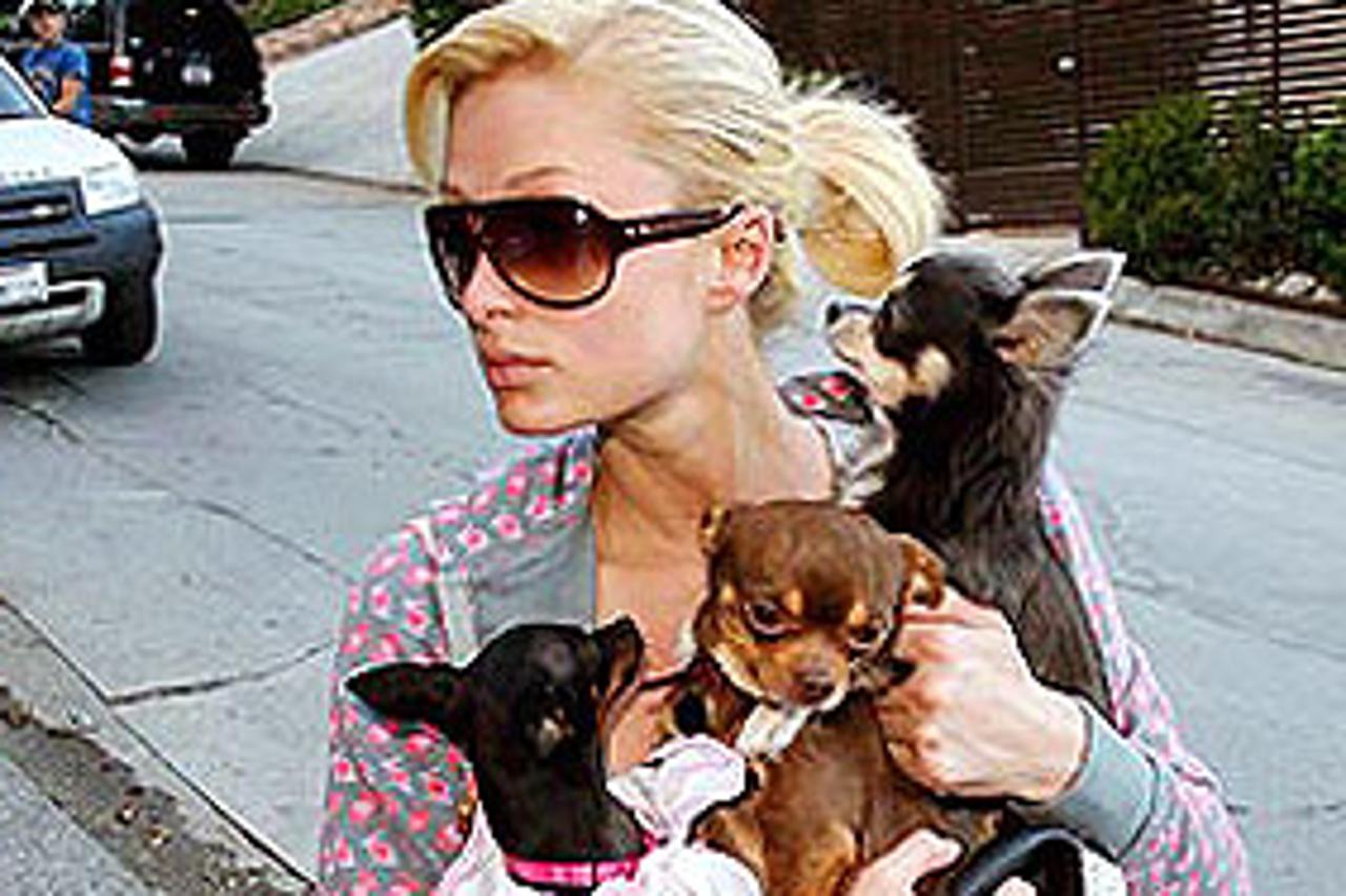 paris_hilton-txt.jpg