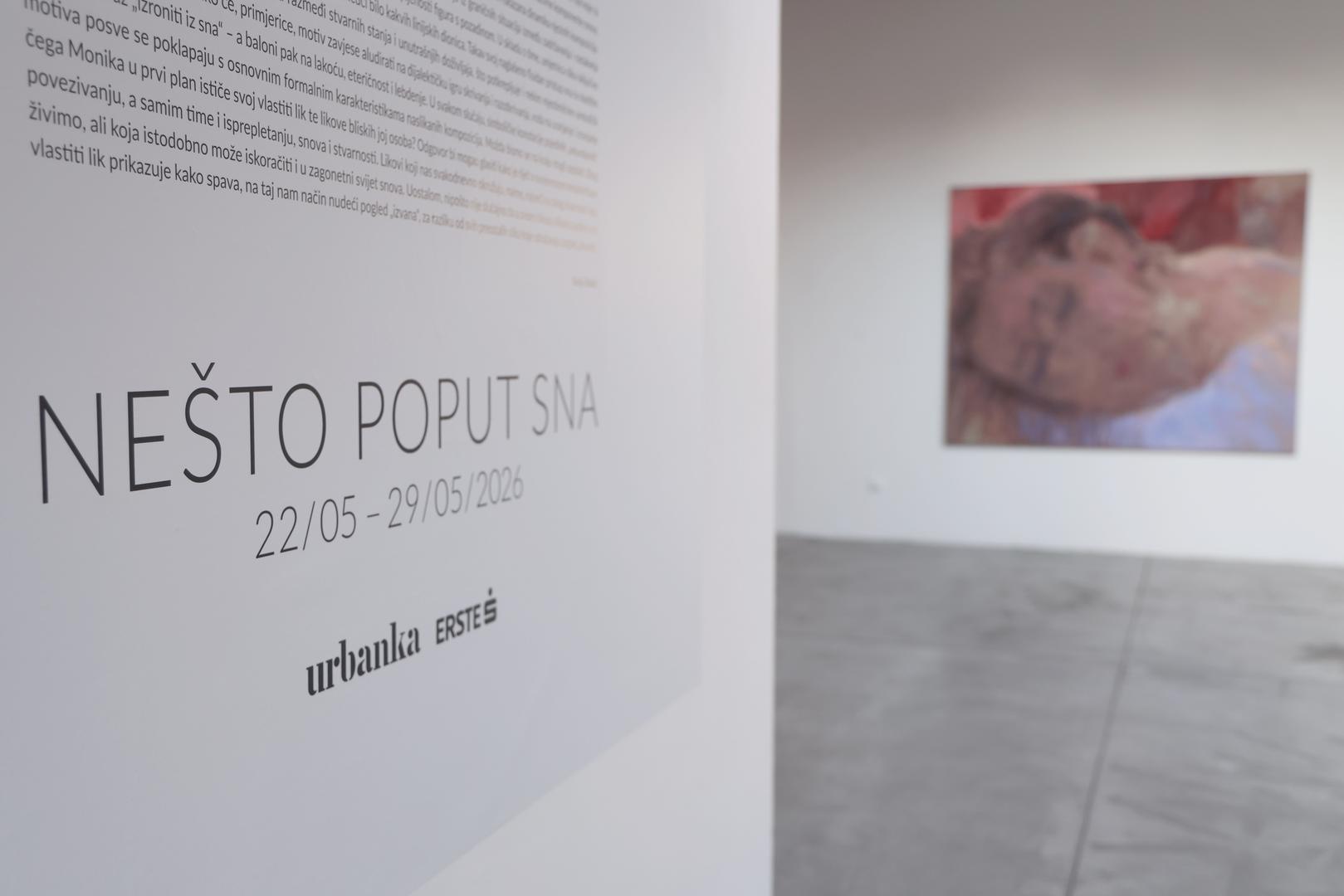 A snove nikada neće krasiti kristalna jasnoća doživljaja; uz njih nužno vežemo odrednice kao što sumaglovitost, fluidnost, ili zamućenost, dakle one iste koje ćenam se nametati dok promatramo slike iz ciklusa Nešto poput sna