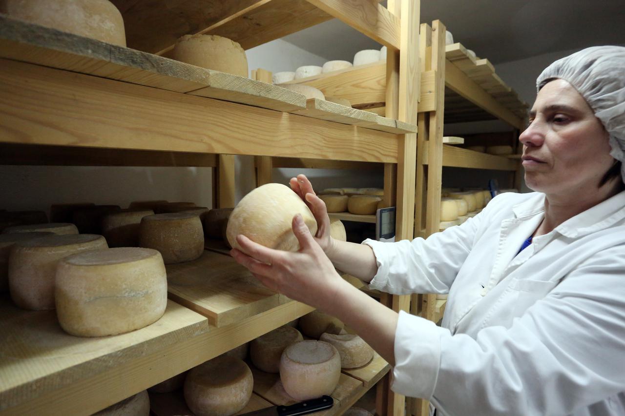 Obiteljsko poljoprivredno gospodarstvo Pintar