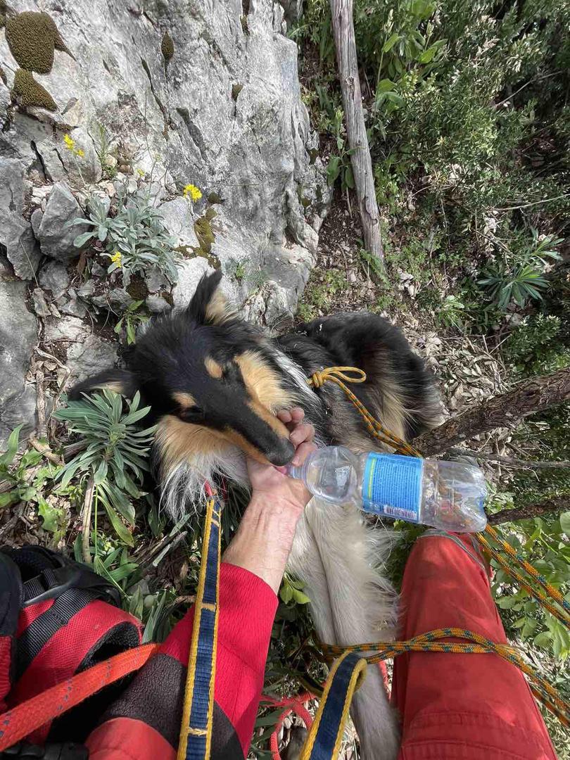 Drugog dana intervencije na teren je izašlo sedam članova koji su uspješno locirali škotskog ovčara te potom izvršili tehničke pripreme za pristup i podizanje psa na sigurno.