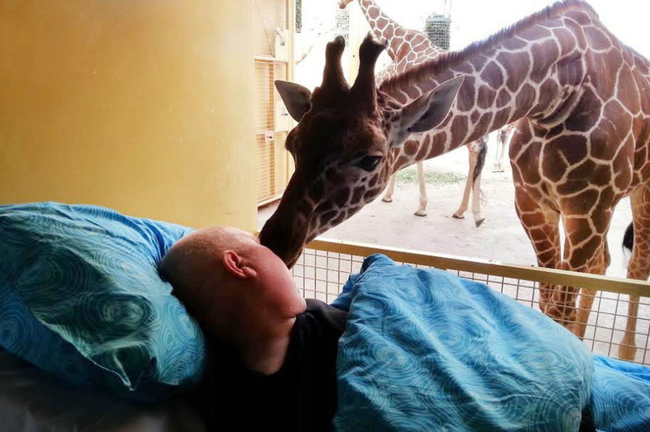 Tužan oproštaj žirafe i bivšeg djelatnika ZOO-a