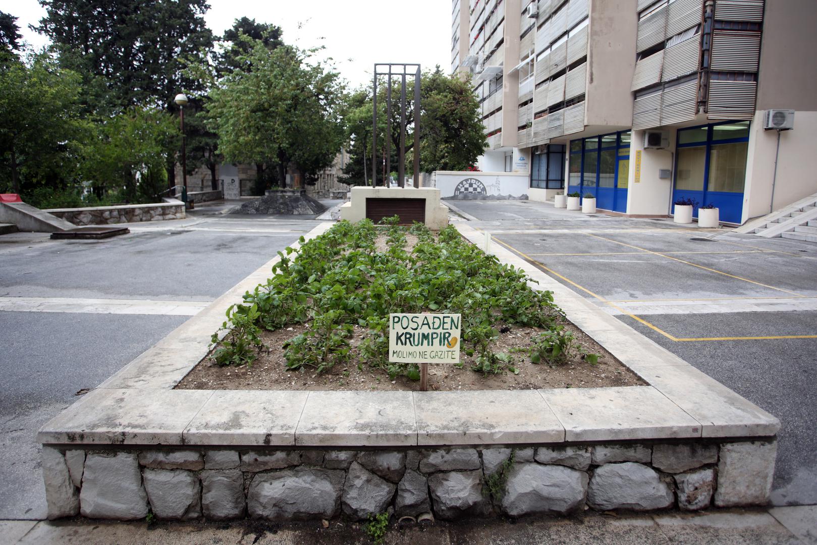 Kada sazru napravit ćemo ambalažu i brendirati krumpir iz Papandopulove, rekao je član udruge Boris Šitum.